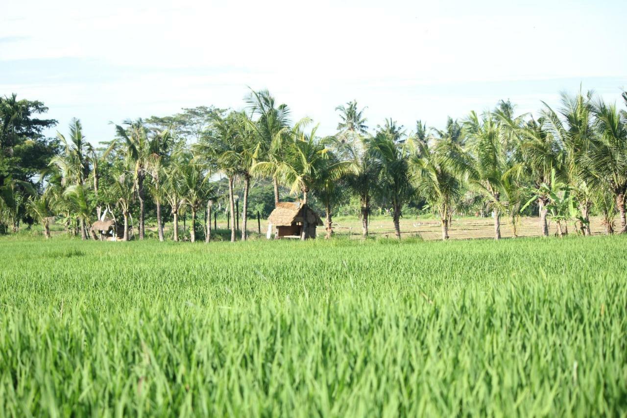 Ayuna Family Ubud Екстериор снимка