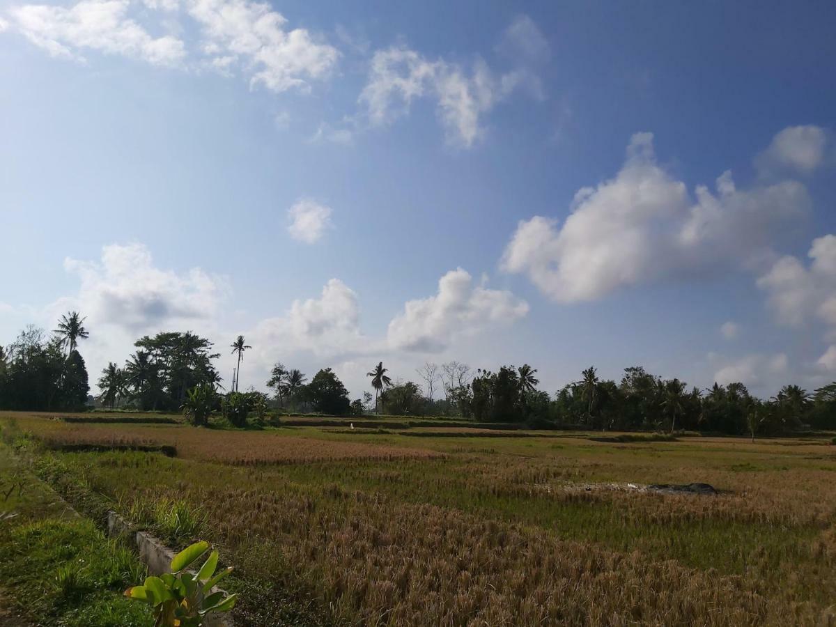 Ayuna Family Ubud Екстериор снимка