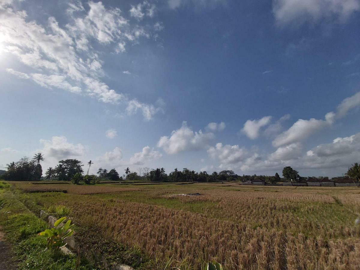 Ayuna Family Ubud Екстериор снимка
